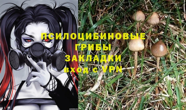 герыч Заволжск