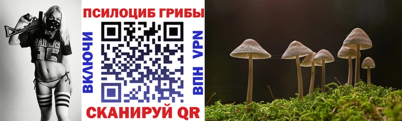 Купить  Отрадное  Галлюциногенные грибы мицелий 